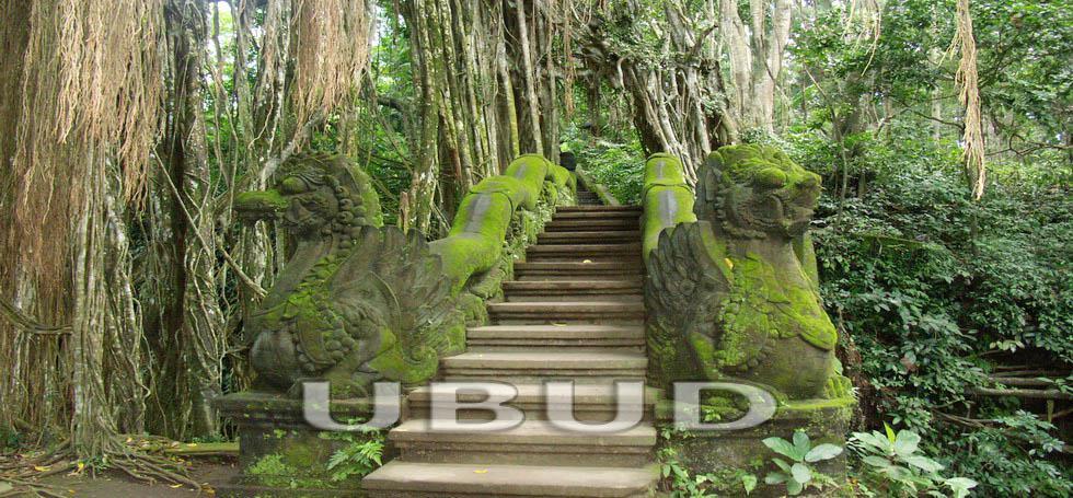 Bali Ubud Bali Ubud