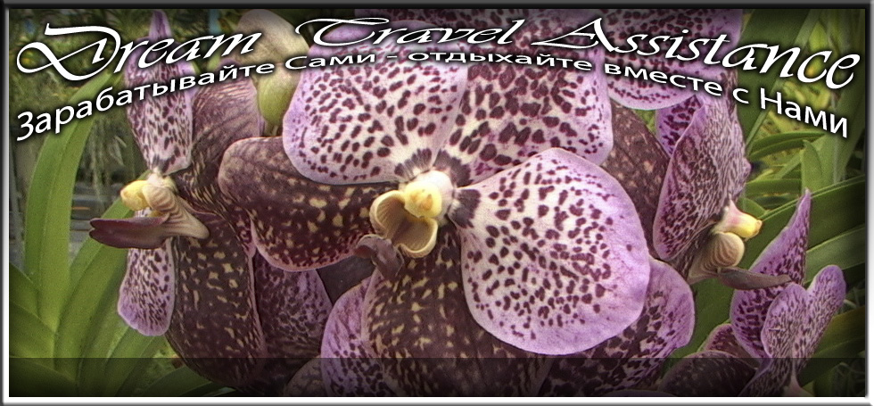 Thailand, Phuket, Информация о Ферме Орхидей (Phuket Orchid Farm)
       на сайте любителей путешествовать www.dta.odessa.ua