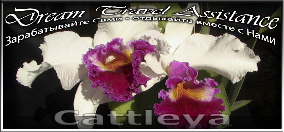 Орхидеи Cattleya из частной коллекции на сайте любителей путешествовать www.dta.odessa.ua