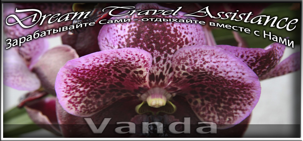 Орхидеи Vanda из частной коллекции на сайте любителей путешествовать www.dta.odessa.ua